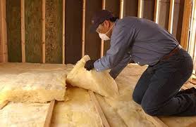 Best Eco-Friendly or Green Insulation Solutions  in Nowthen, MN